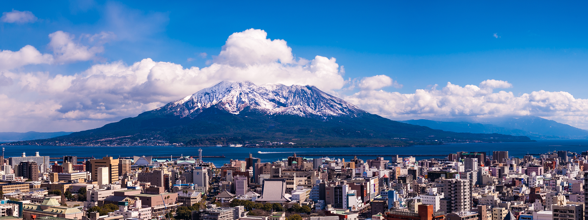 地元に根差し誠実に支える
